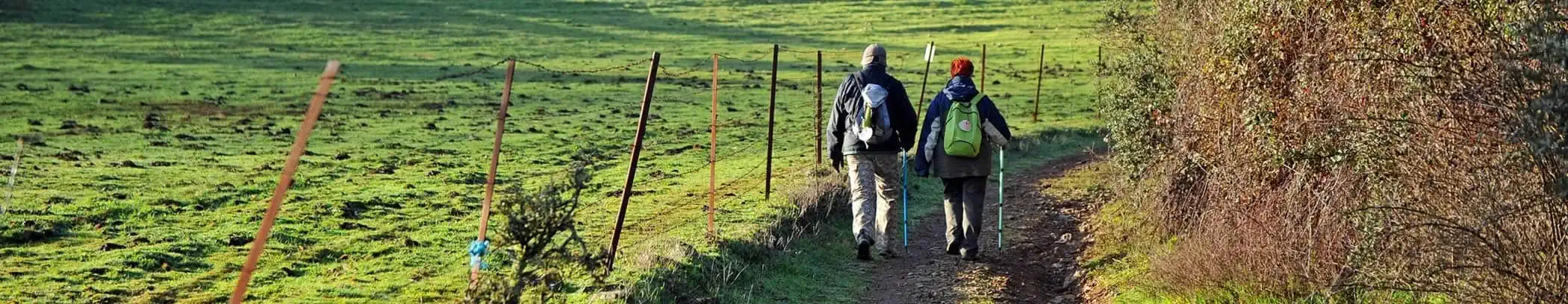 Camino Francés desde Sarria