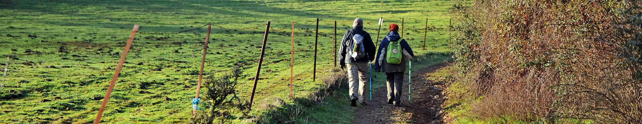 Französischer Weg ab Sarria