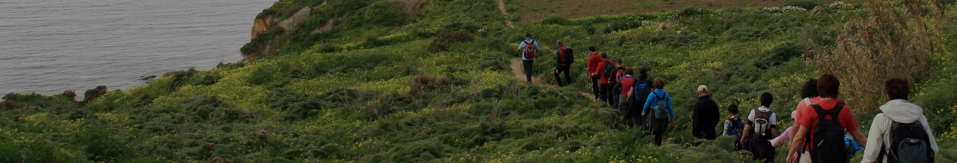 gruppe von pilgern auf einem küstenpfad umgeben von vegetation am camino portugués da costa