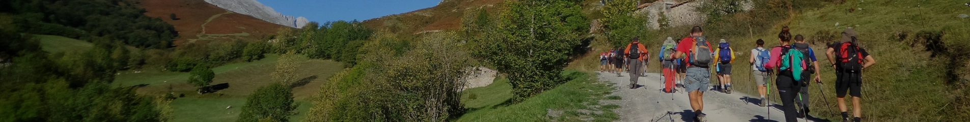 gruppe von pilgern auf einem wanderweg durch berge und wiesen entlang des camino del norte