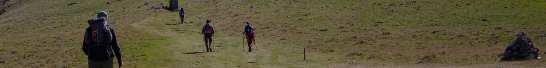 Camino Primitivo