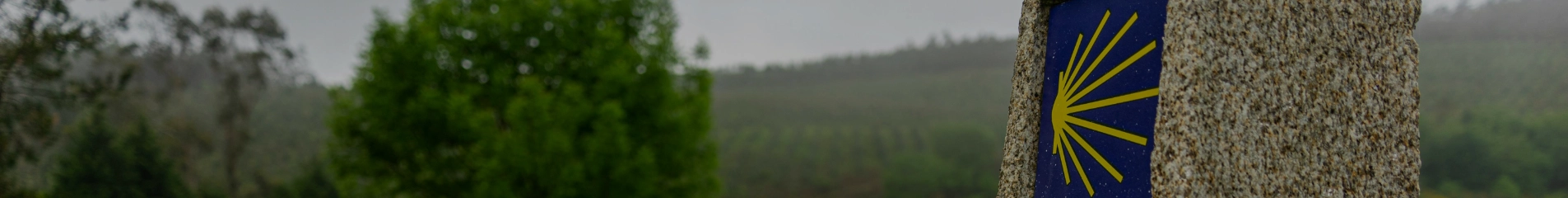 wegweiser des camino de santiago mit gelber jakobsmuschel zur markierung der route