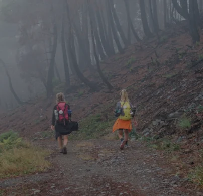 Qué Camino de Santiago elegir en 2026
