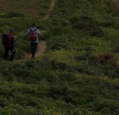 gruppe von pilgern auf einem küstenpfad umgeben von vegetation am camino portugués da costa